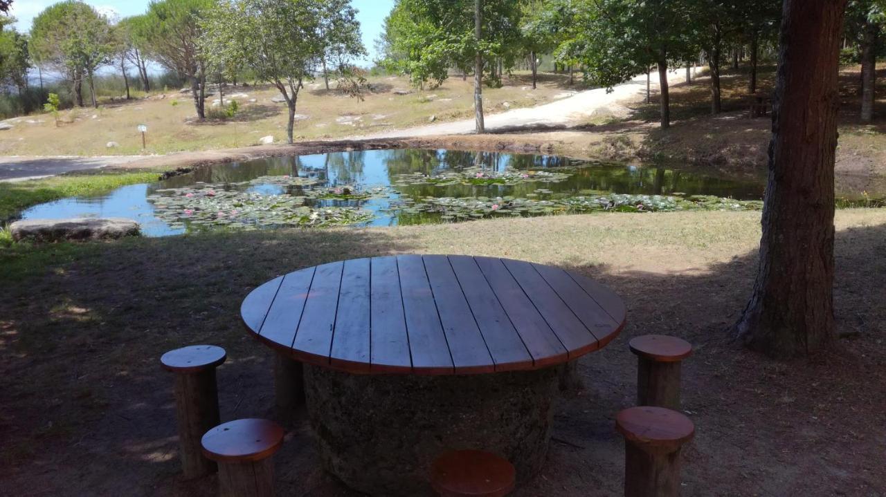 Quinta Da Fonte - Agroturismo Barroselas Екстер'єр фото