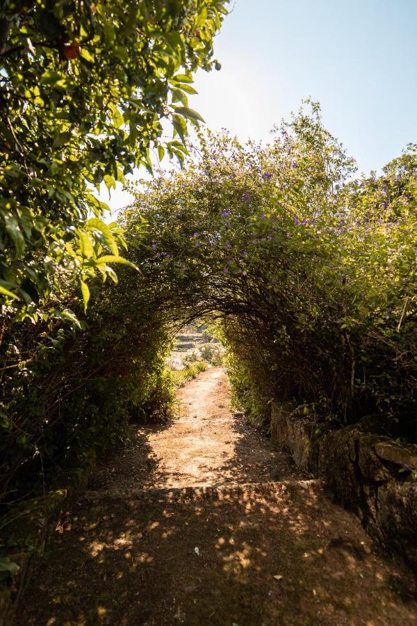 Quinta Da Fonte - Agroturismo Barroselas Екстер'єр фото